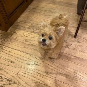 Meet your Posher, Hailey duncan